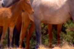 5811825348_35cba059ba_b