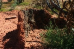 Grain-Storage-on-DT-TA